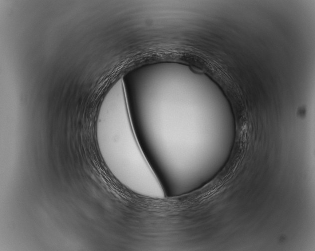 X0000116000772200911191423