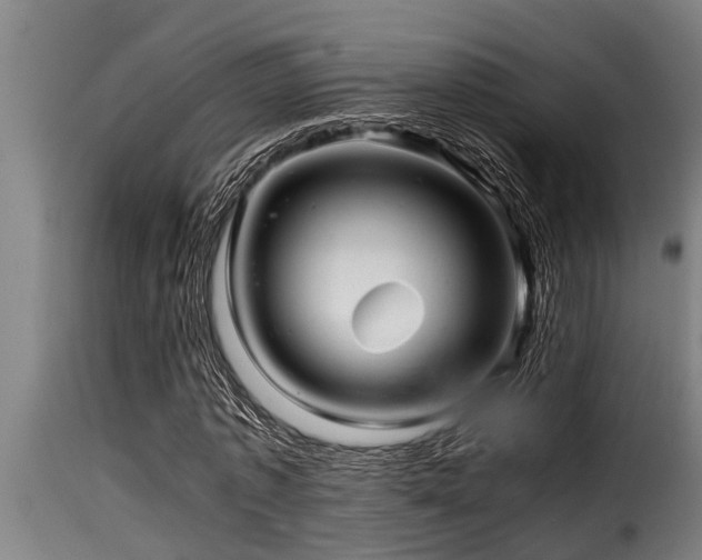 X0000116000773200911191423