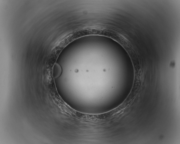 X0000116000774200911191423