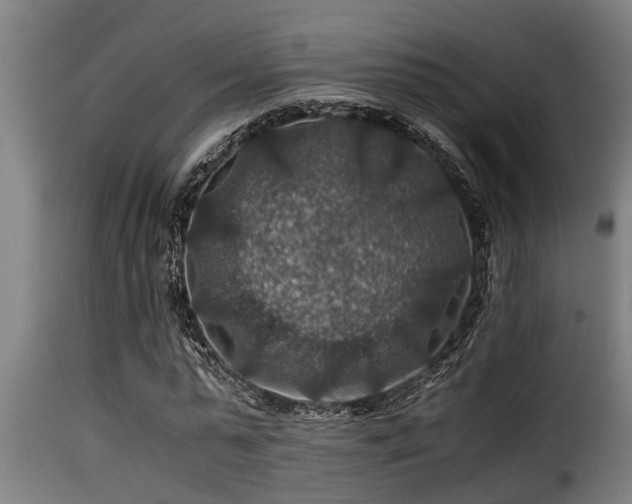 X0000116000775200911191423