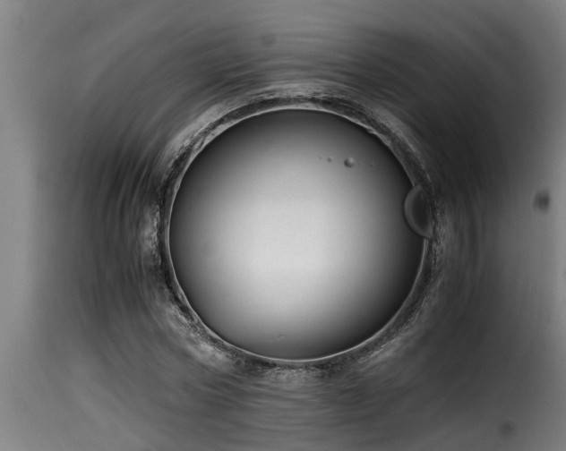 X0000116000778200911191423