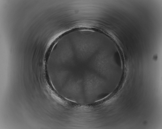 X0000116000779200911191423