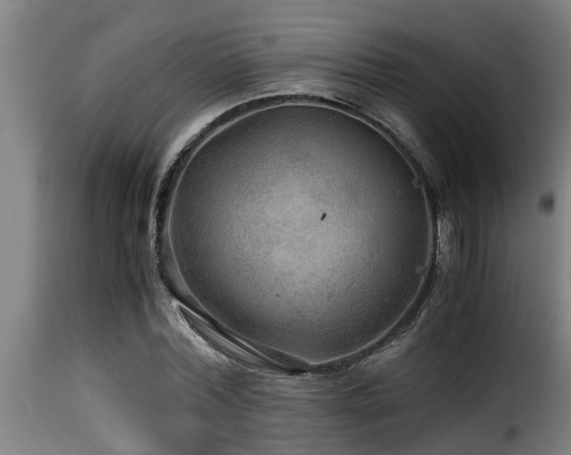 X0000116000780200911191423