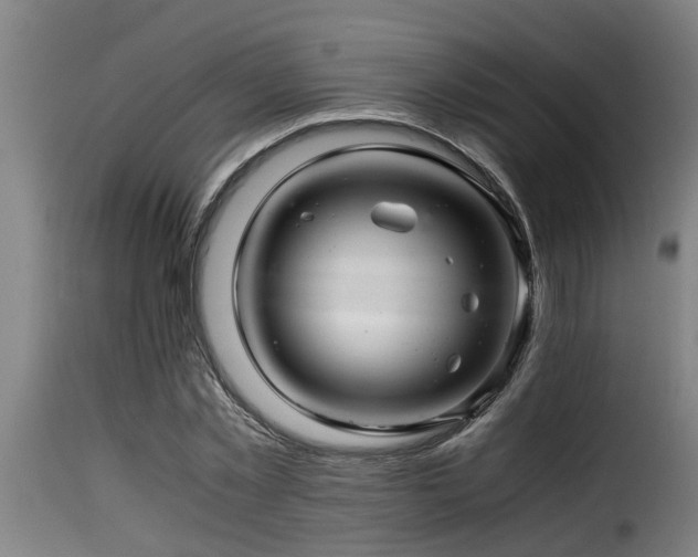 X0000116000781200911191423