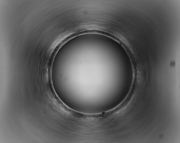 X0000116000782200911191423