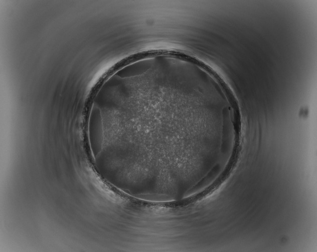 X0000116000783200911191423