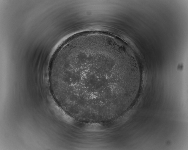 X0000116000784200911191423