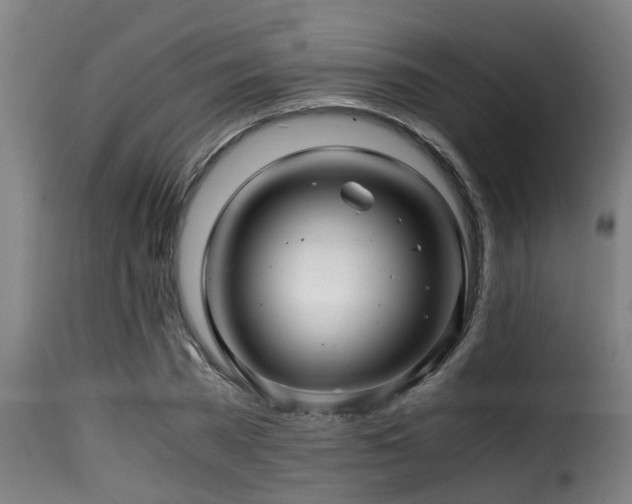 X0000116000785200911191423