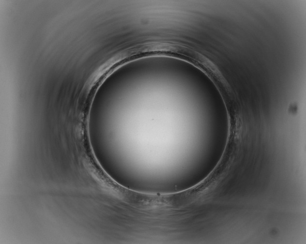 X0000116000786200911191423