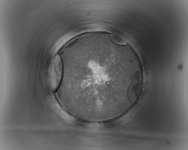 X0000116000789200911191423