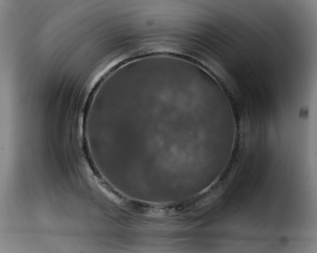 X0000116000790200911191423