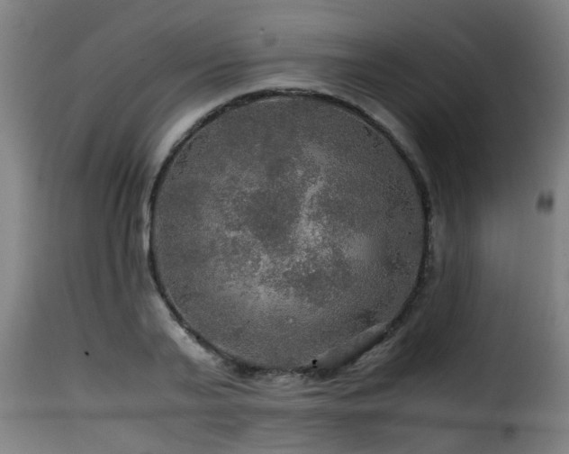 X0000116000791200911191423