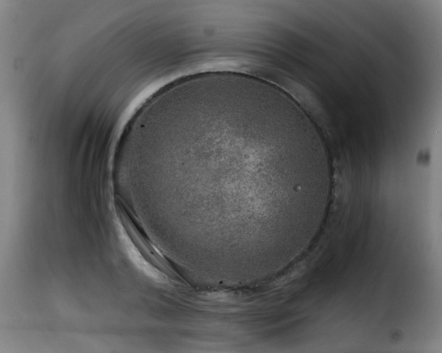 X0000116000792200911191423