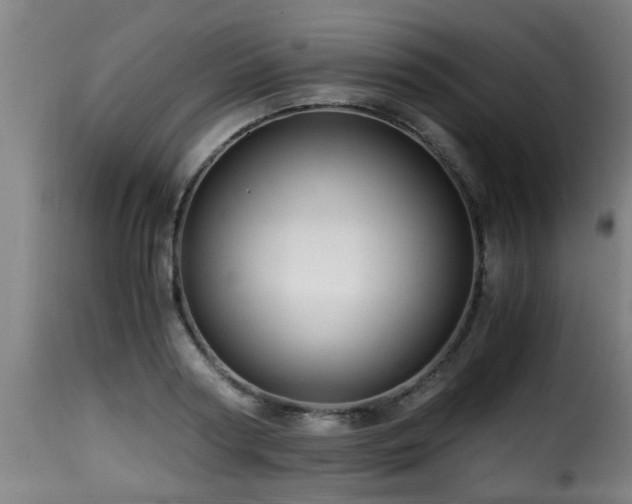 X0000116000794200911191423