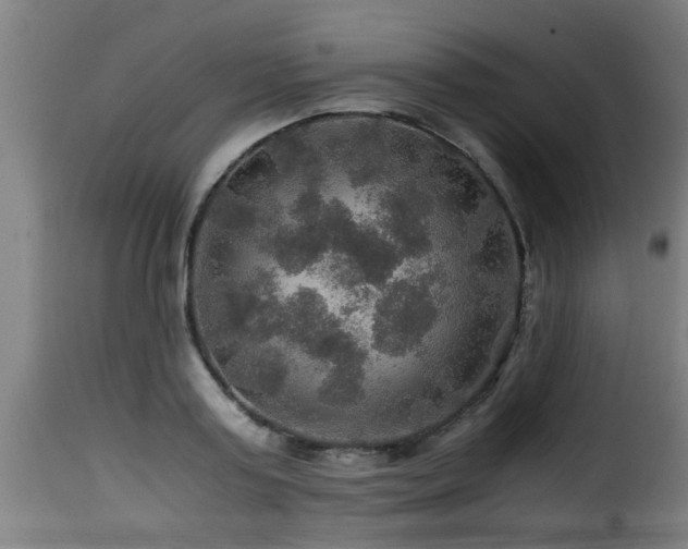 X0000116000795200911191423