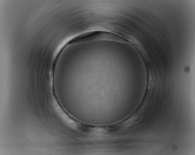 X0000116000796200911191423