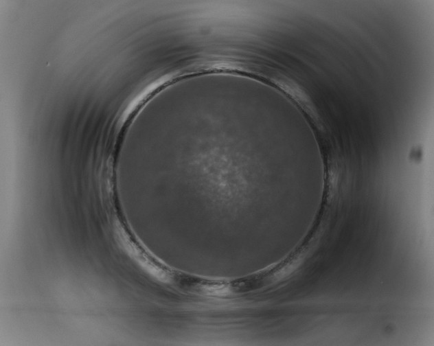 X0000116000798200911191423