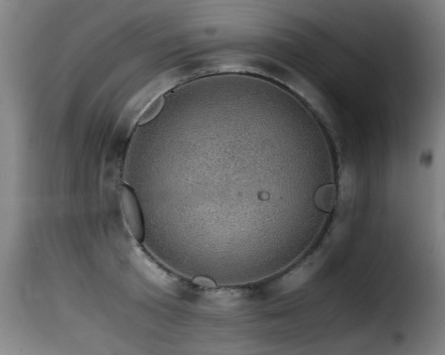 X0000116000801200911191423