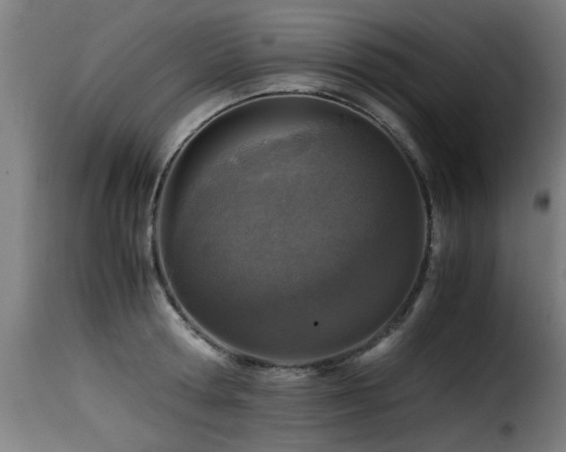 X0000116000802200911191423