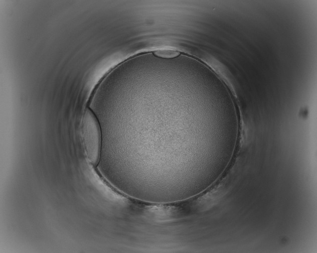 X0000116000805200911191423