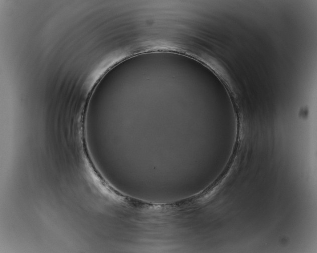 X0000116000806200911191423