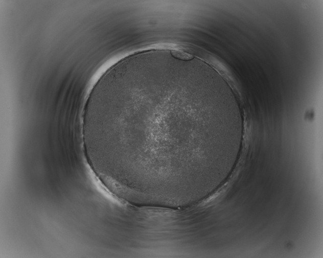 X0000116000808200911191423