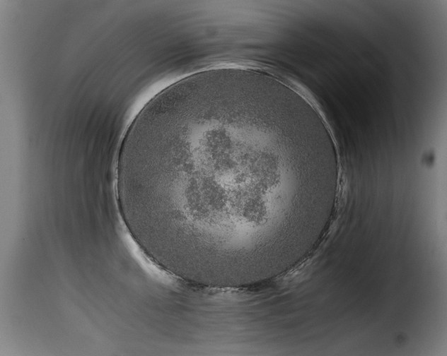 X0000116000811200911191423