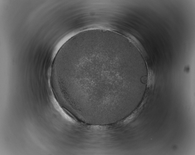 X0000116000812200911191423