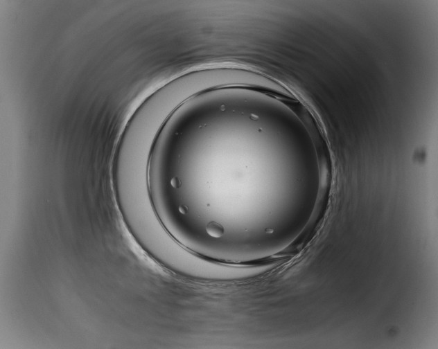 X0000116000813200911191423