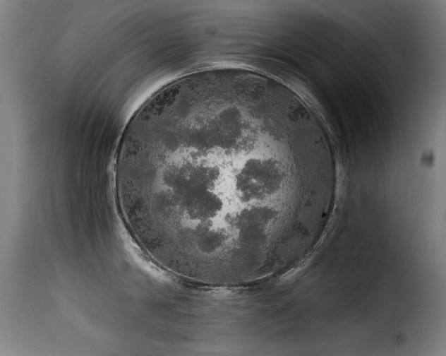 X0000116000814200911191423