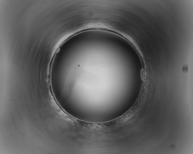 X0000116000815200911191423