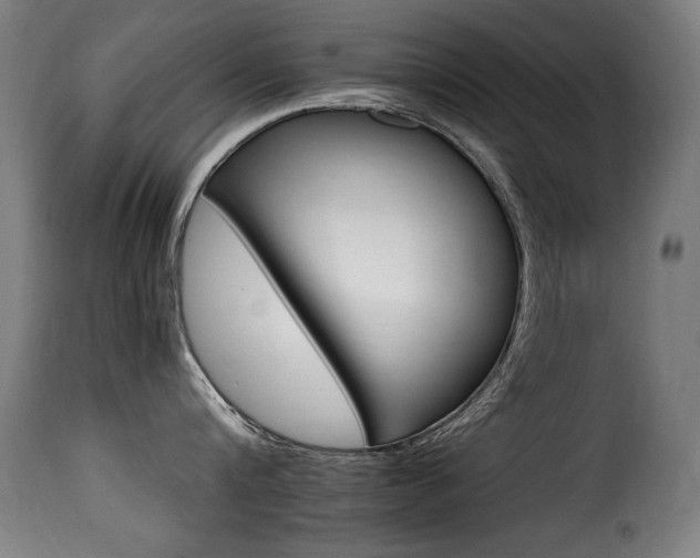 X0000116000816200911191423