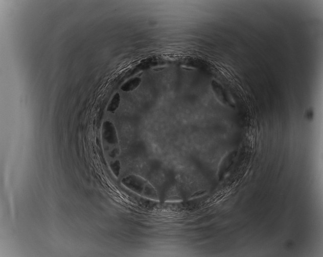 X0000116000817200911191422