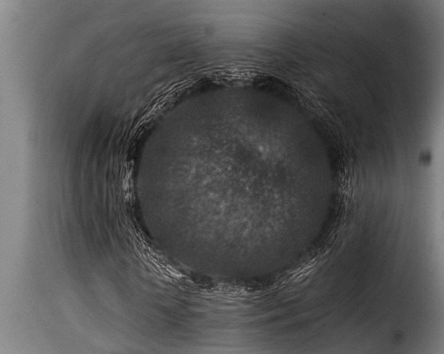 X0000116000818200911191422