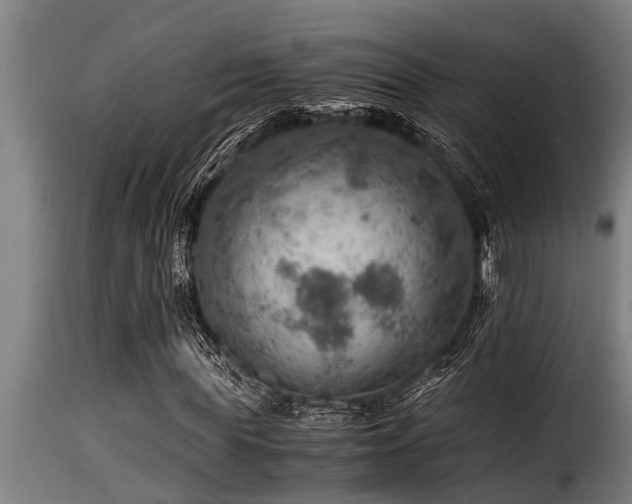 X0000116000819200911191422