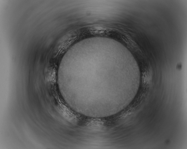 X0000116000820200911191422