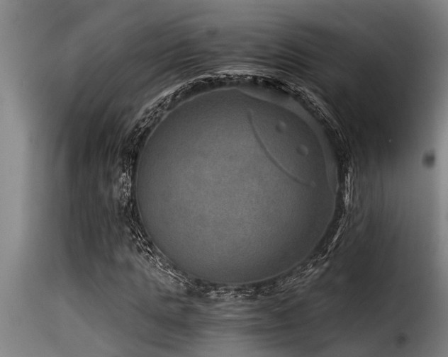 X0000116000821200911191422