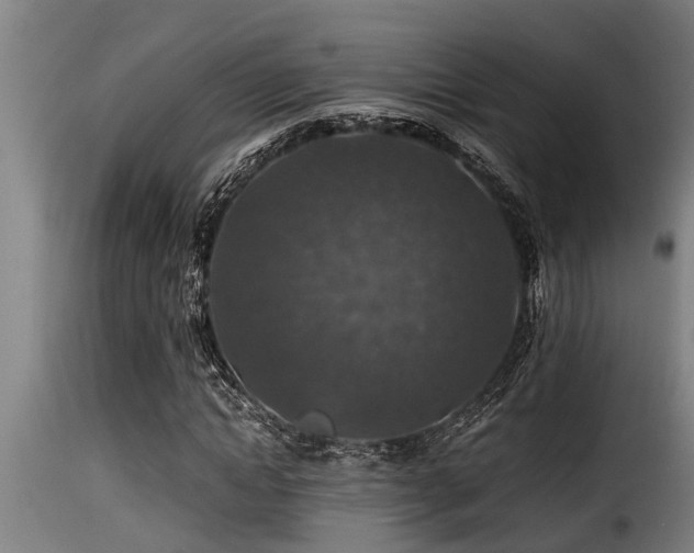 X0000116000822200911191422