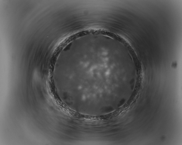 X0000116000823200911191422