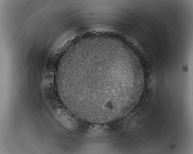 X0000116000824200911191422