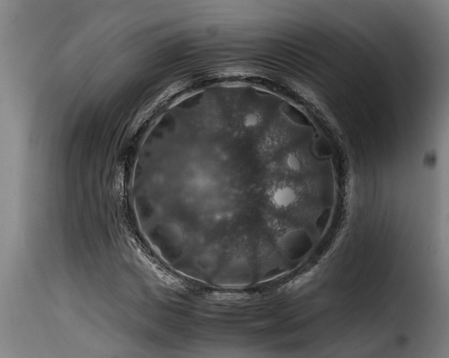 X0000116000825200911191422