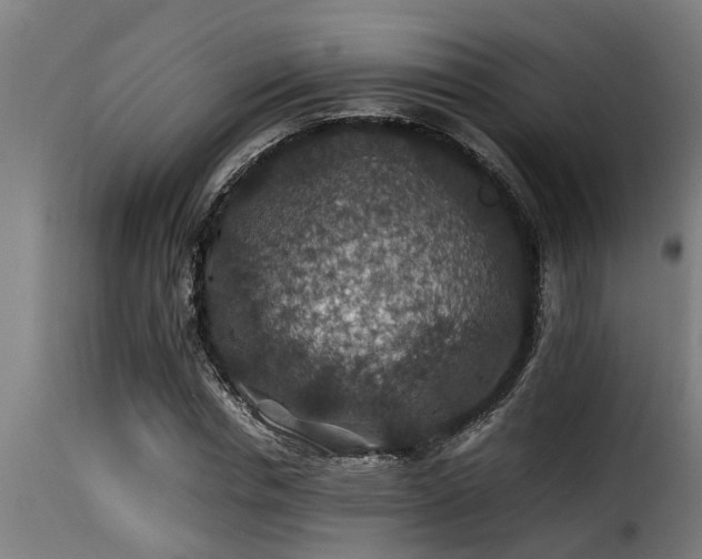 X0000116000826200911191422