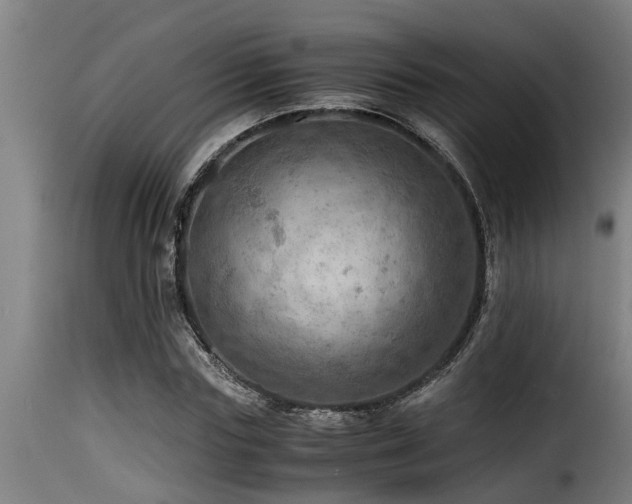 X0000116000827200911191422