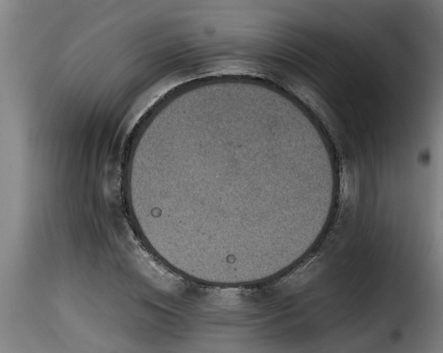 X0000116000828200911191422