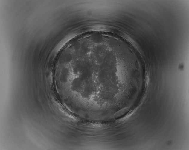 X0000116000829200911191422