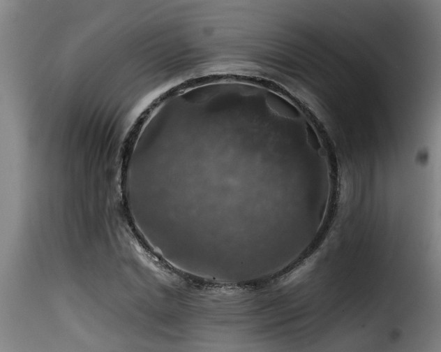 X0000116000830200911191422