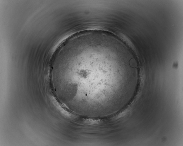 X0000116000831200911191422