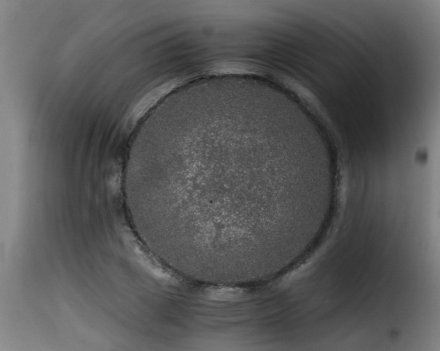 X0000116000833200911191422