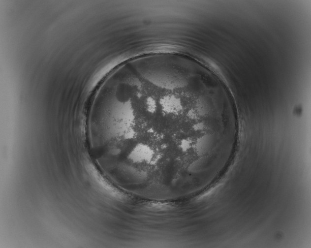 X0000116000835200911191422