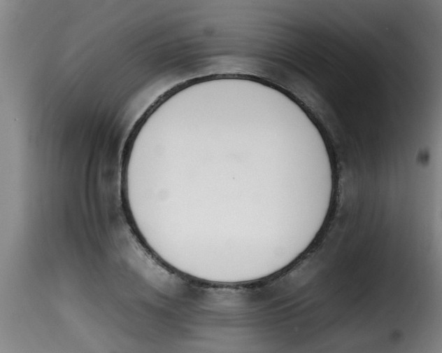 X0000116000836200911191422